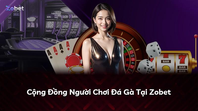 Cộng Đồng Người Chơi Đá Gà Tại Zobet