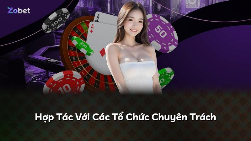 Hợp Tác Với Các Tổ Chức Chuyên Trách