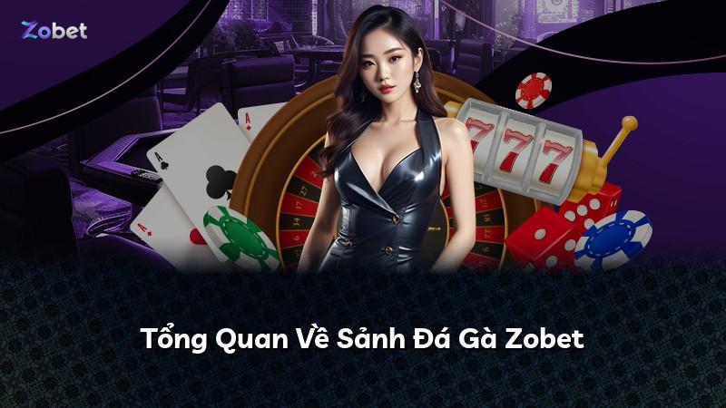 Tổng Quan Về Sảnh Đá Gà Zobet